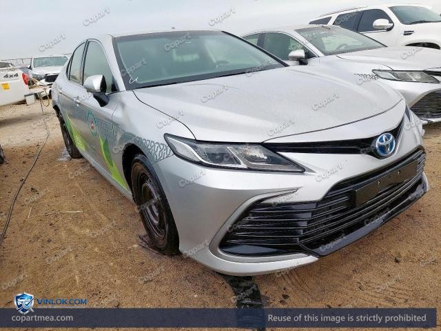 Auction photo
