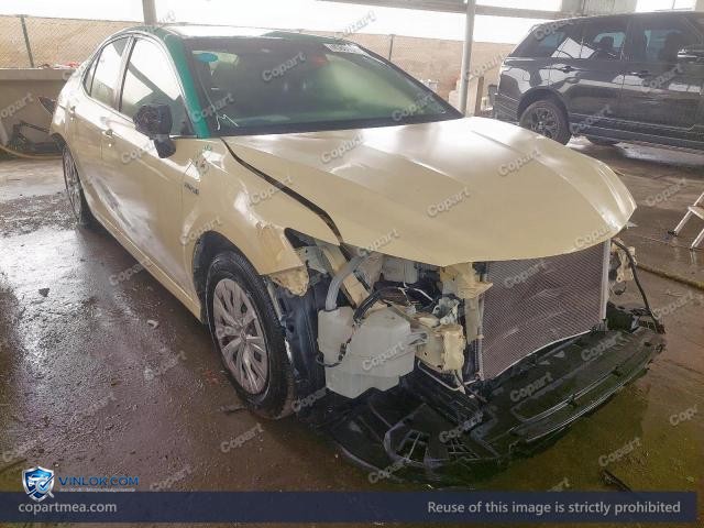 Auction photo