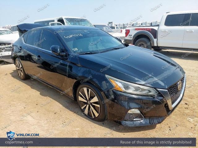Auction photo