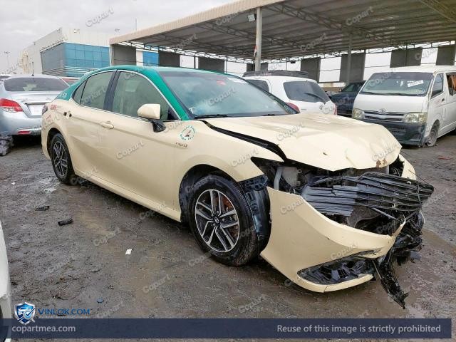 Auction photo