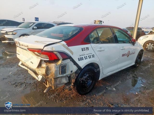Auction photo