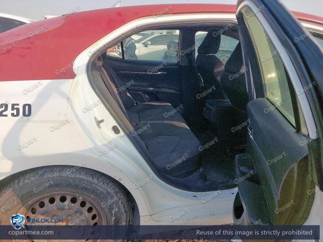 Auction photo