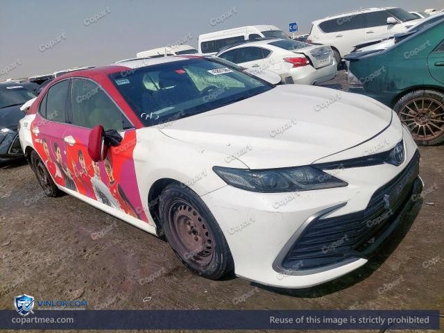 Auction photo