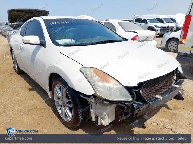 Auction photo