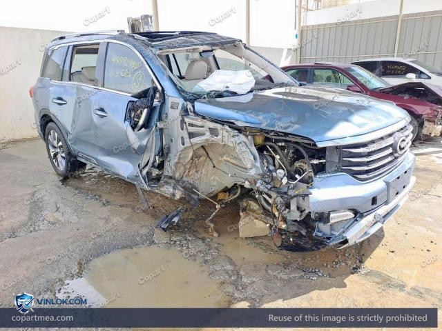 Auction photo