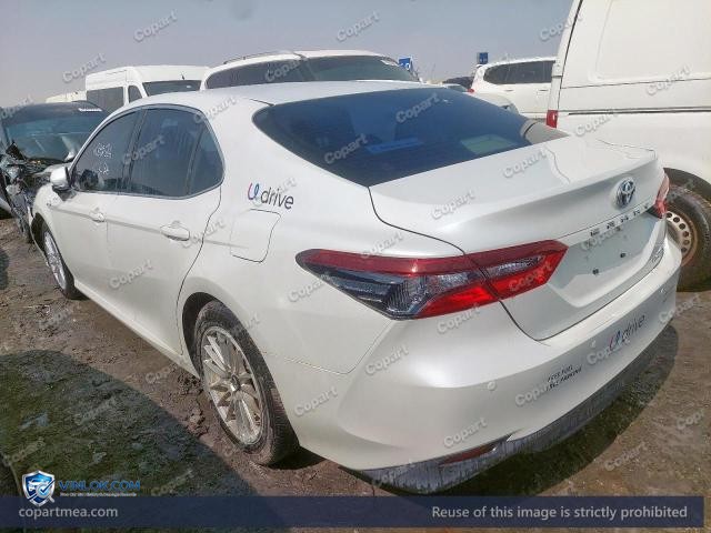 Auction photo