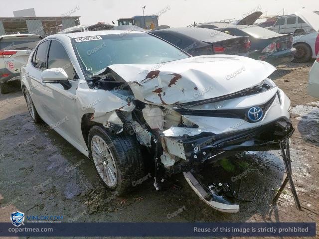 Auction photo