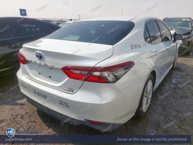 Auction photo