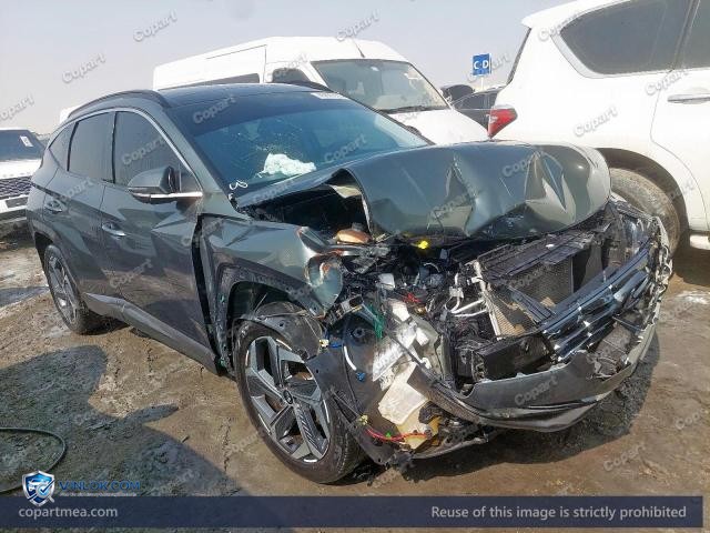 Auction photo