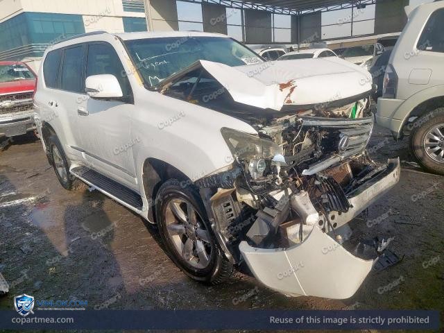 Auction photo