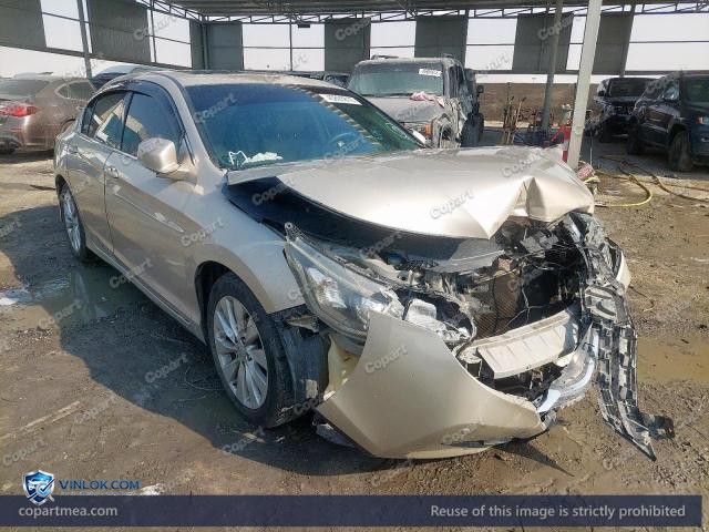 Auction photo