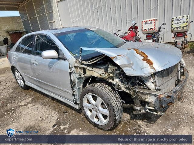Auction photo