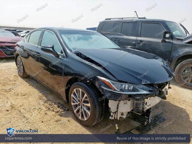 Auction photo