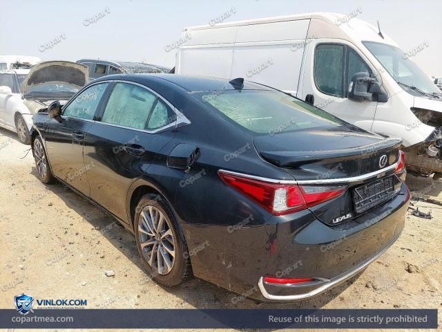 Auction photo