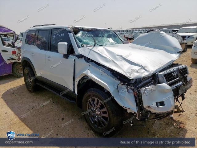 Auction photo