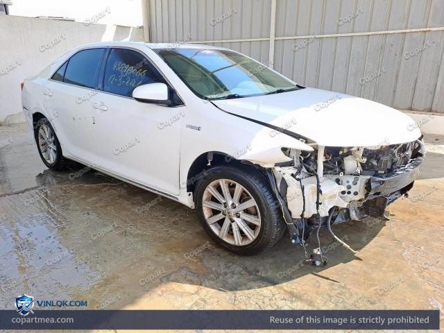 Auction photo