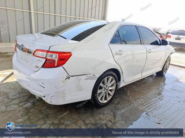 Auction photo