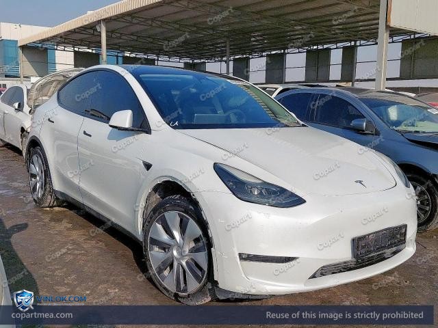Auction photo