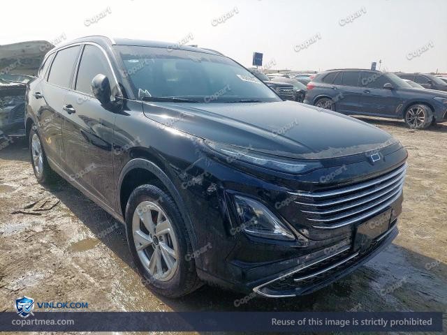 Auction photo