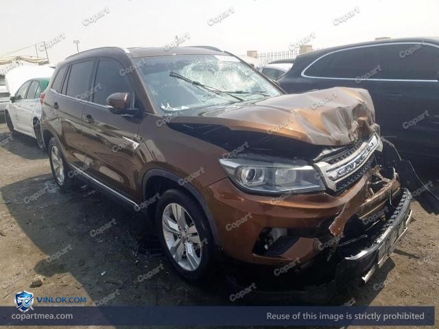 2019 CHAN CS75 — Lot 45898896 auction photo