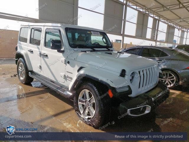 Auction photo