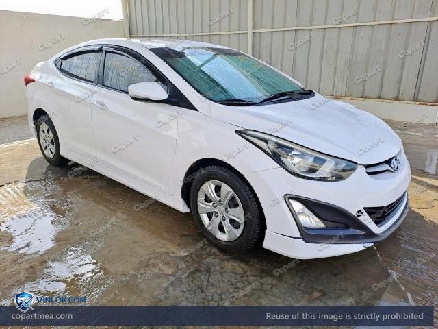 Auction photo