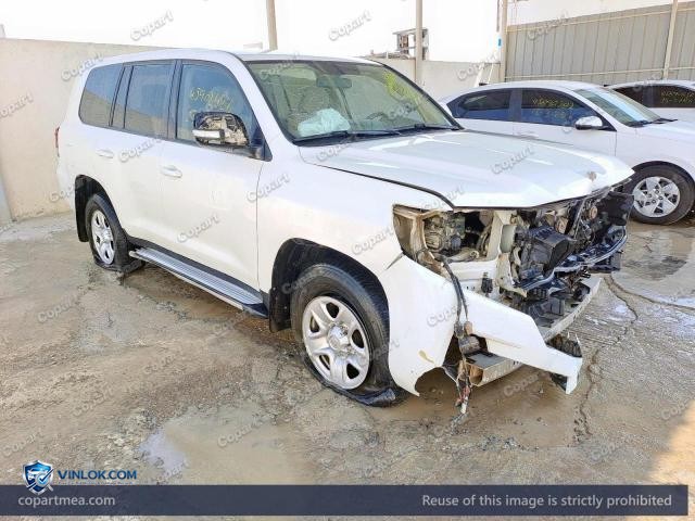 Auction photo