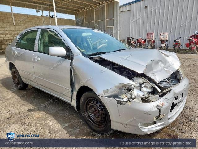 Auction photo