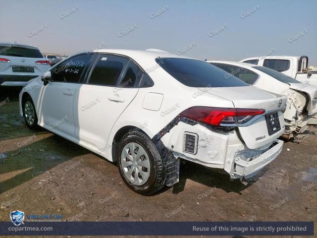 Auction photo