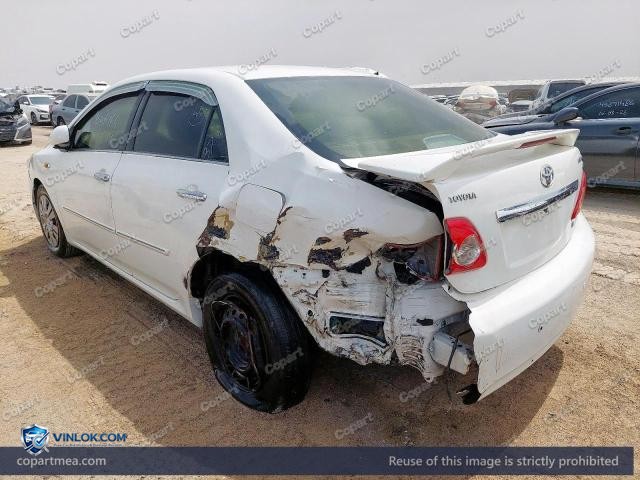 Auction photo