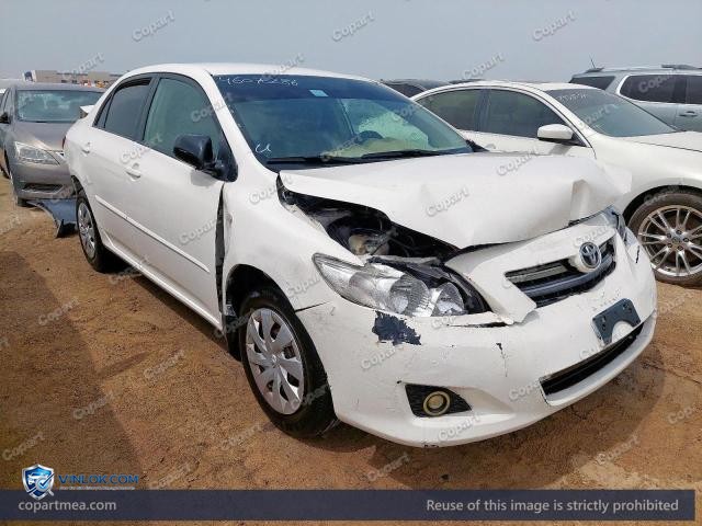Auction photo