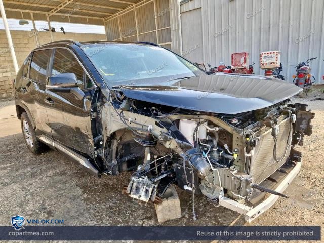 Auction photo
