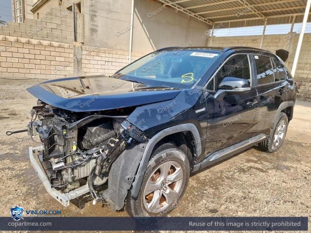 Auction photo