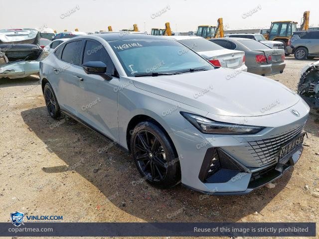 2024 CHAN UNI-V — Lot 46071156 auction photo