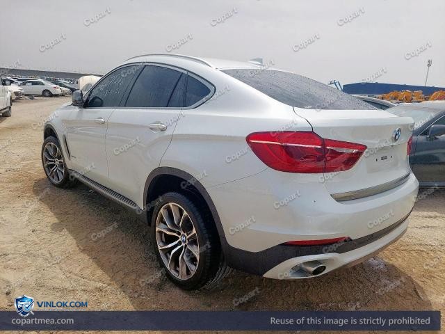 Auction photo