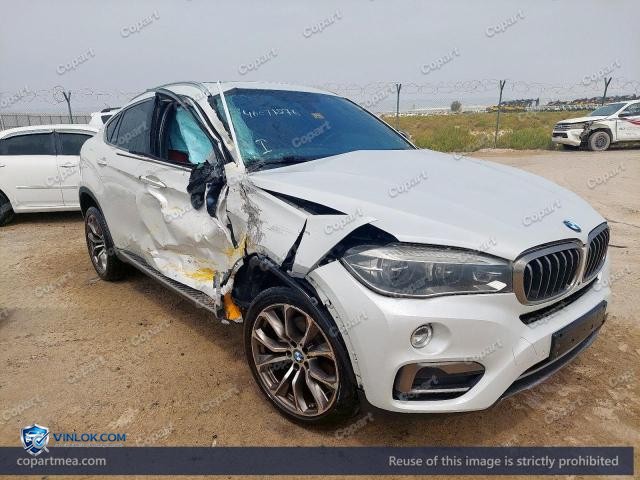 Auction photo