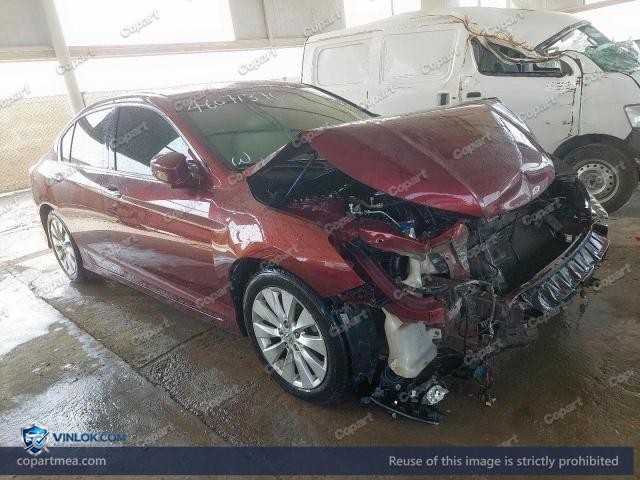 Auction photo