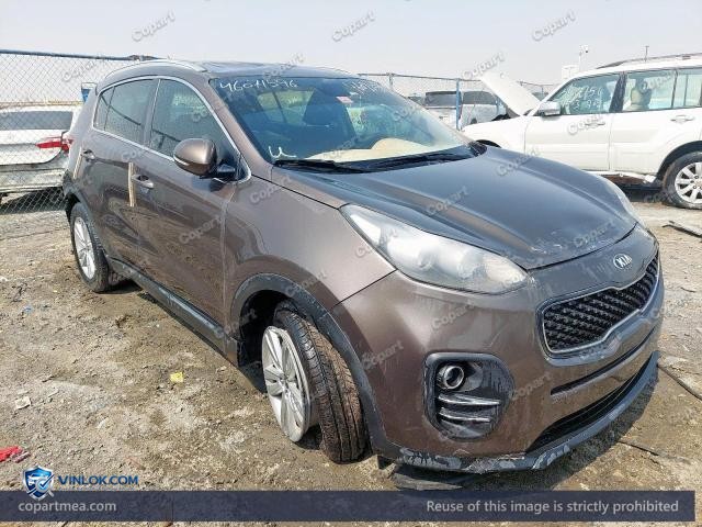 Auction photo