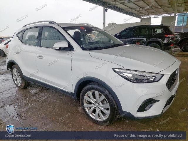 Auction photo