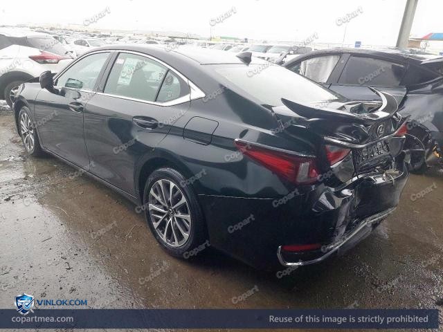Auction photo