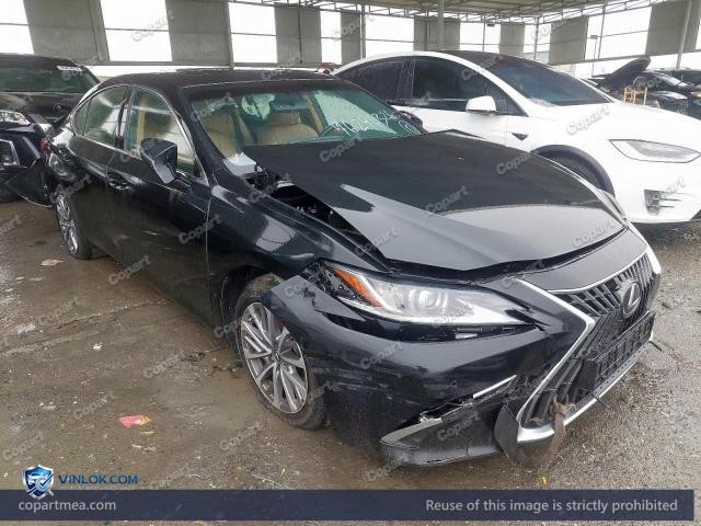 Auction photo