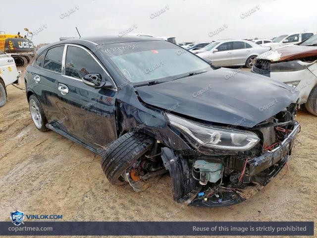 Auction photo