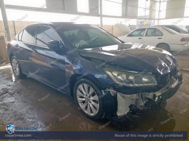 Auction photo