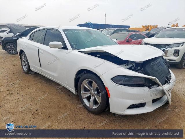 Auction photo