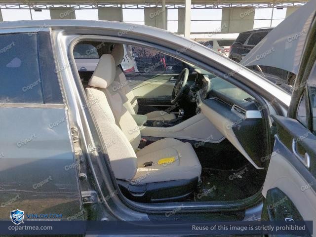 Auction photo