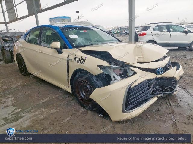 Auction photo