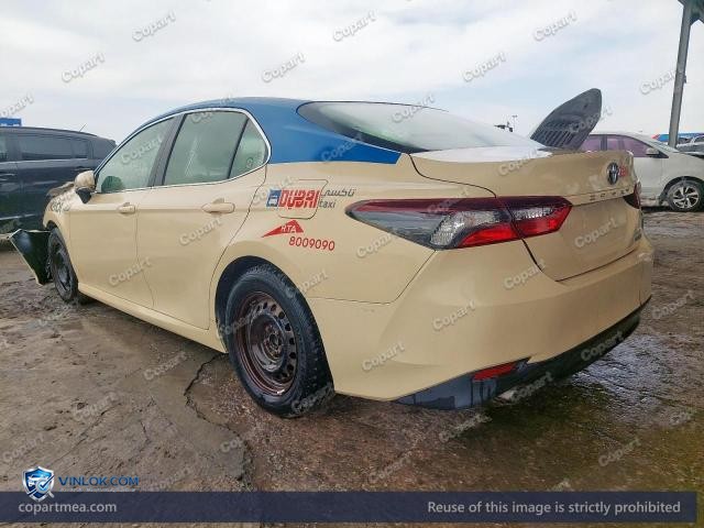 Auction photo