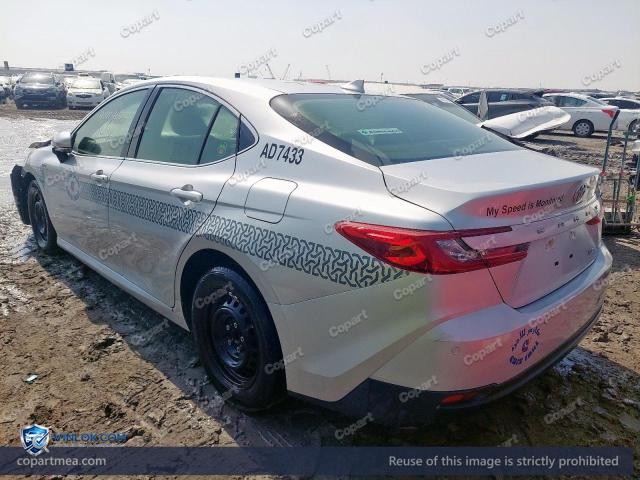 Auction photo
