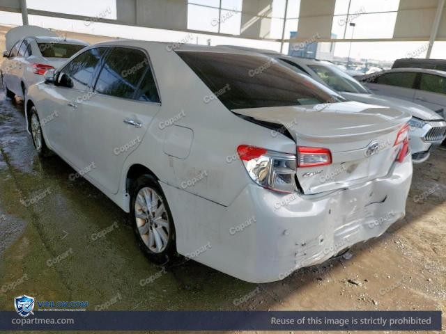 Auction photo