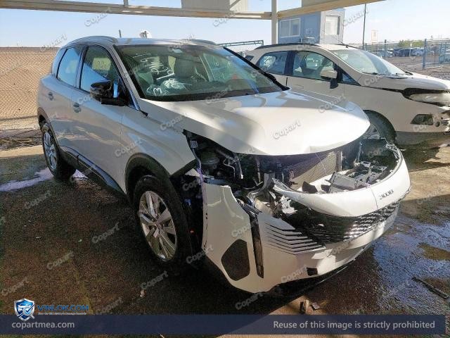 Auction photo
